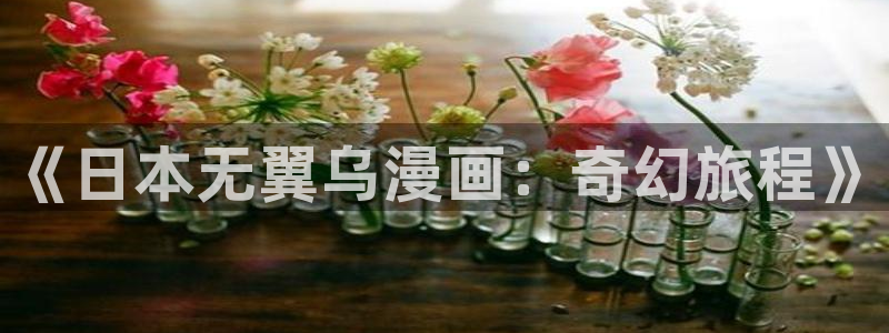 酷漫屋漫画：《日本无翼乌漫画：奇幻旅程》