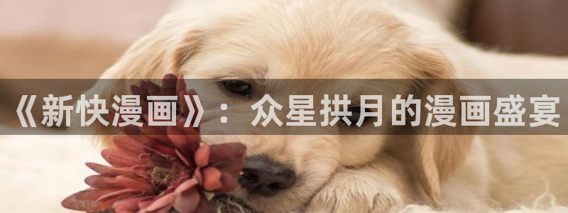 酷漫屋漫画：《新快漫画》：众星拱月的漫画盛宴