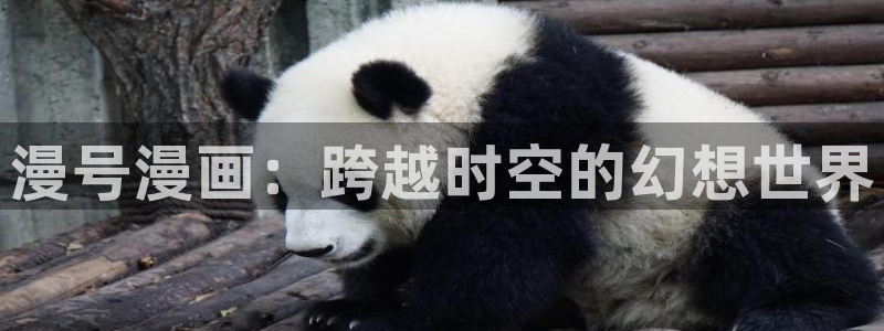 酷漫屋：漫号漫画：跨越时空的幻想世界