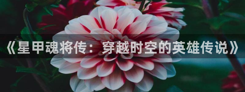 酷漫屋网入口页面：《星甲魂将传：穿越时空的英雄传说》